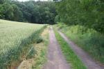 RadStrecke_31