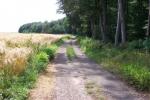 RadStrecke_46