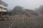 NFTD_2011_001