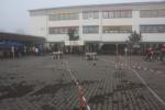 NFTD_2011_008
